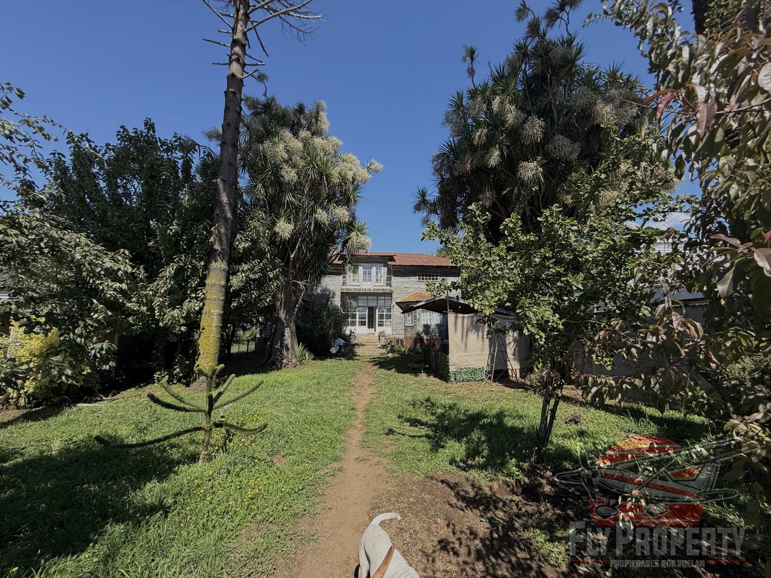 Propiedad Gran Superficie en León Gallo y Pablo Neruda 2.286 m²